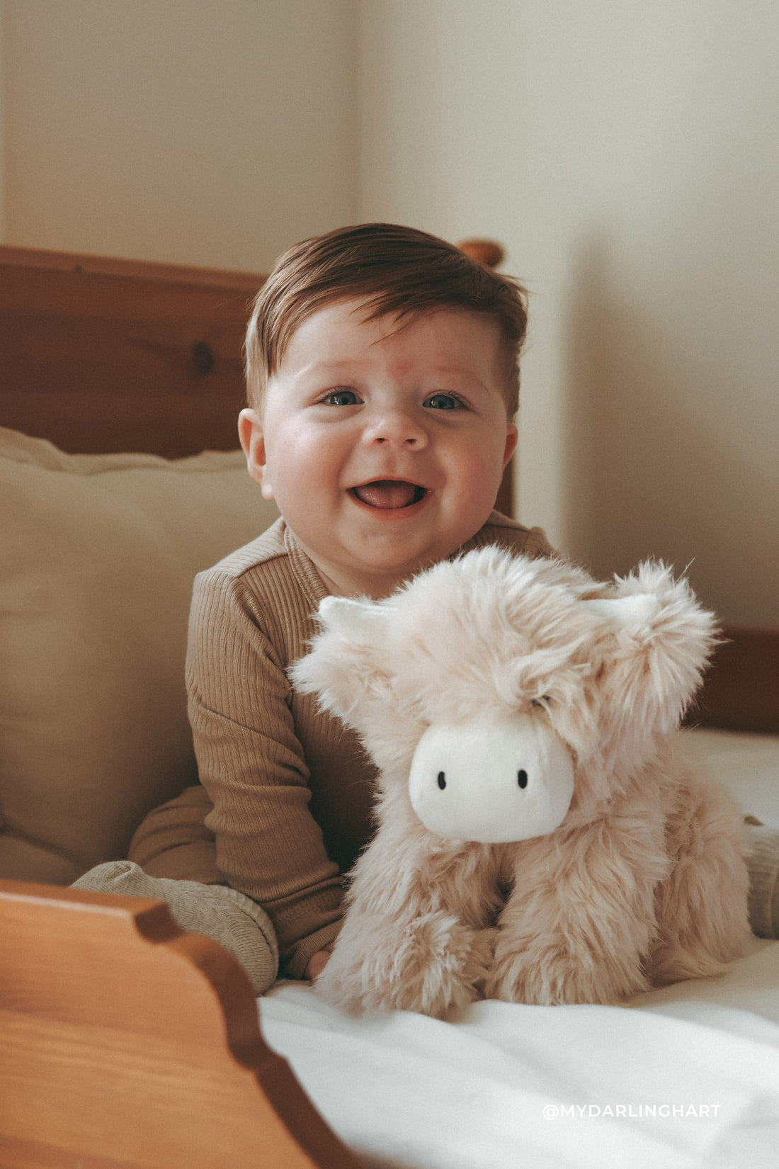 Snuggle Bunnies - Hilda The Highland Cow Childrens Toy from Jamie Kay Australia