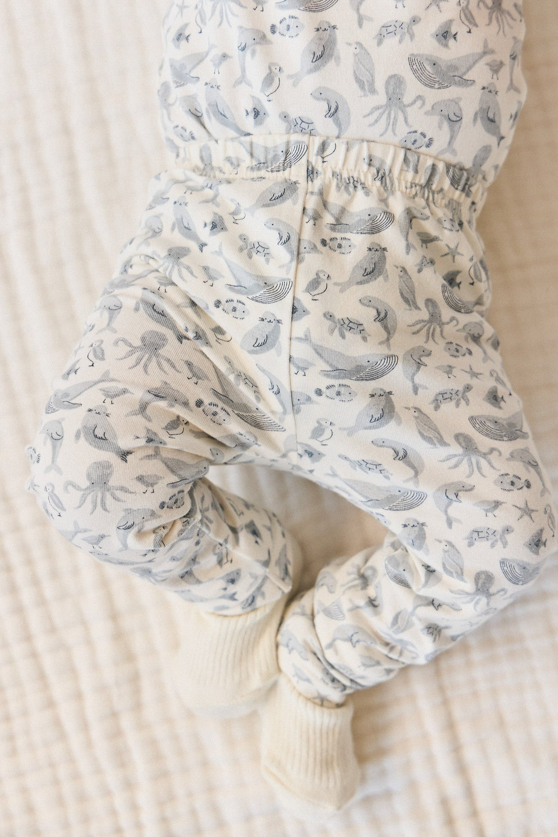 Organic Cotton Everyday Legging - Sea Life Childrens Legging from Jamie Kay Australia