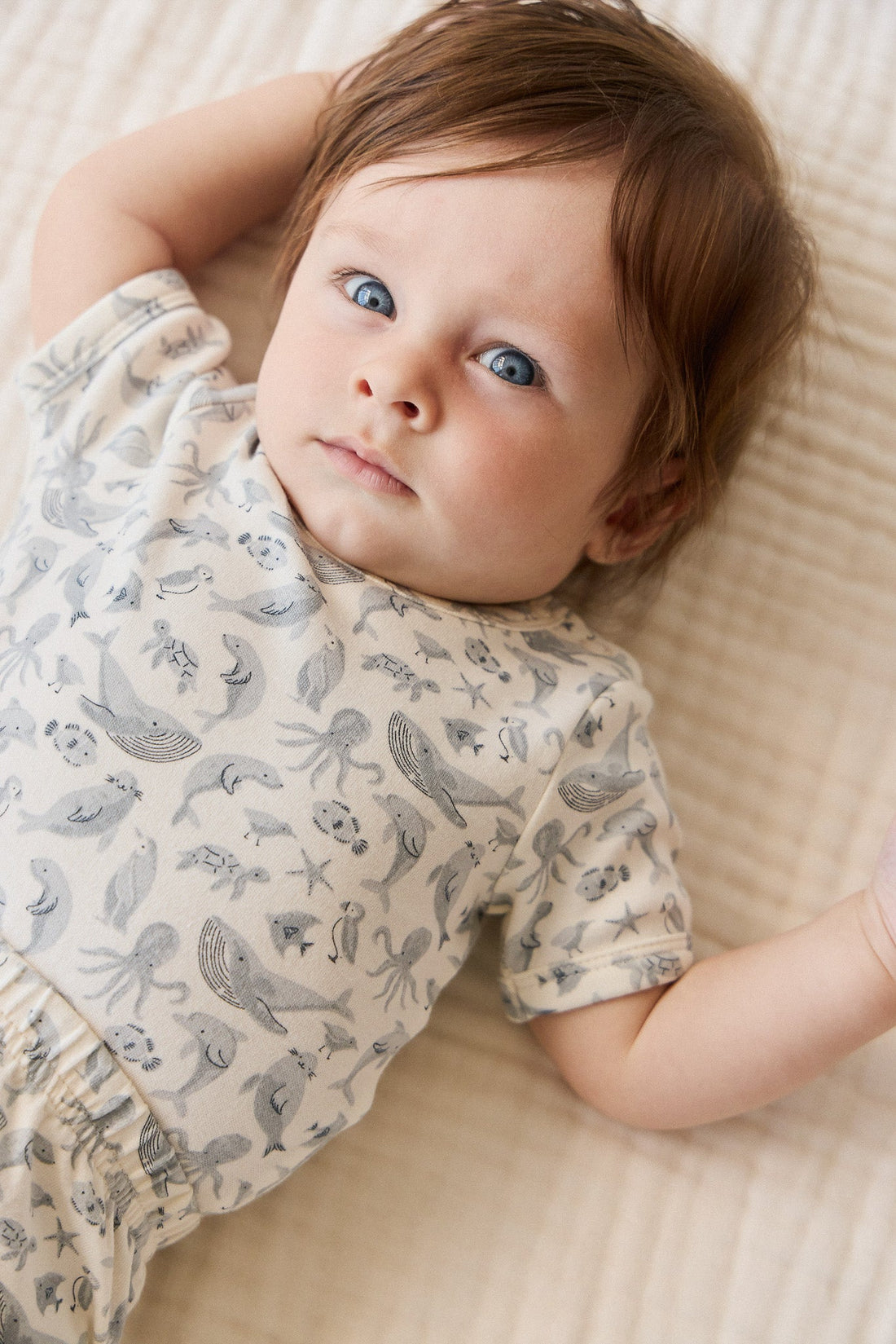 Organic Cotton Hudson Short Sleeve Bodysuit - Sea Life Childrens Bodysuit from Jamie Kay Australia