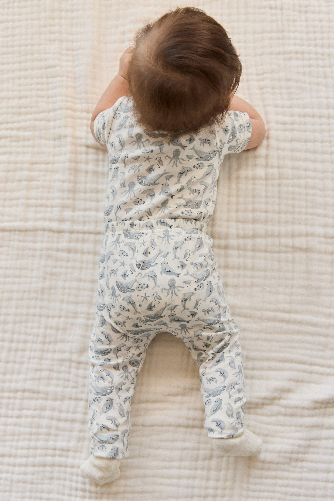 Organic Cotton Everyday Legging - Sea Life Childrens Legging from Jamie Kay Australia