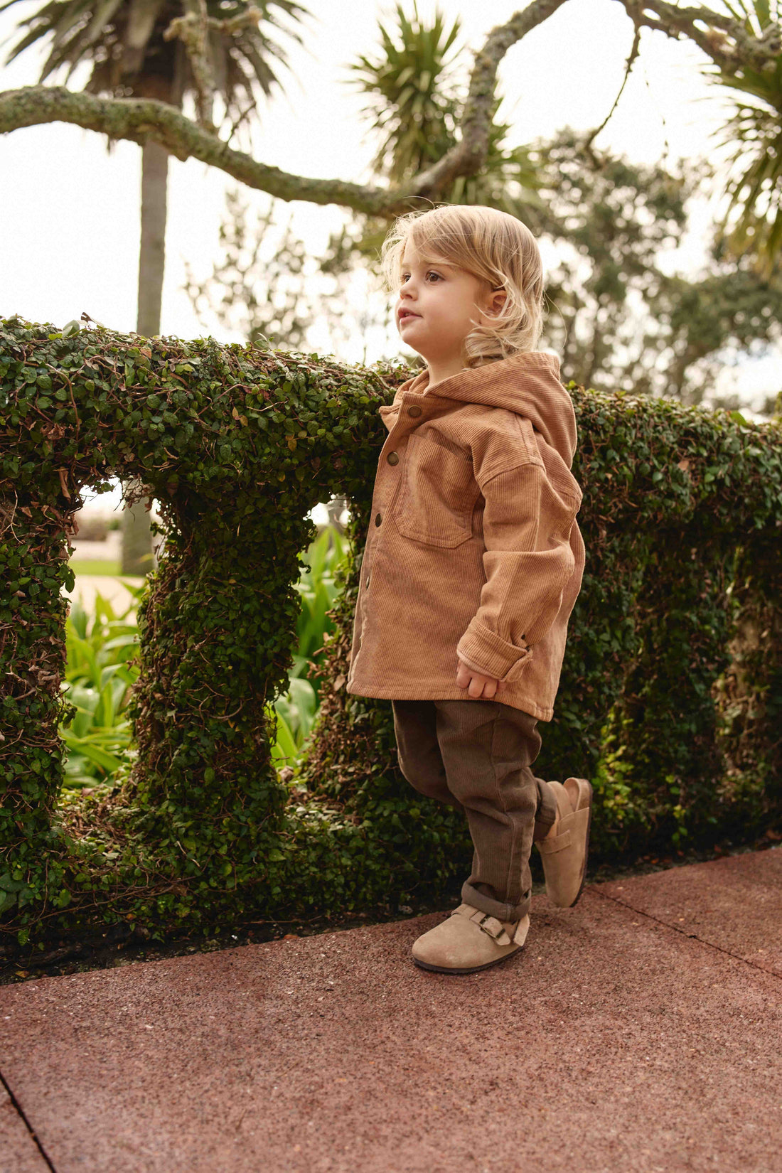 Blair Jacket - Tiger Childrens Jacket from Jamie Kay Australia