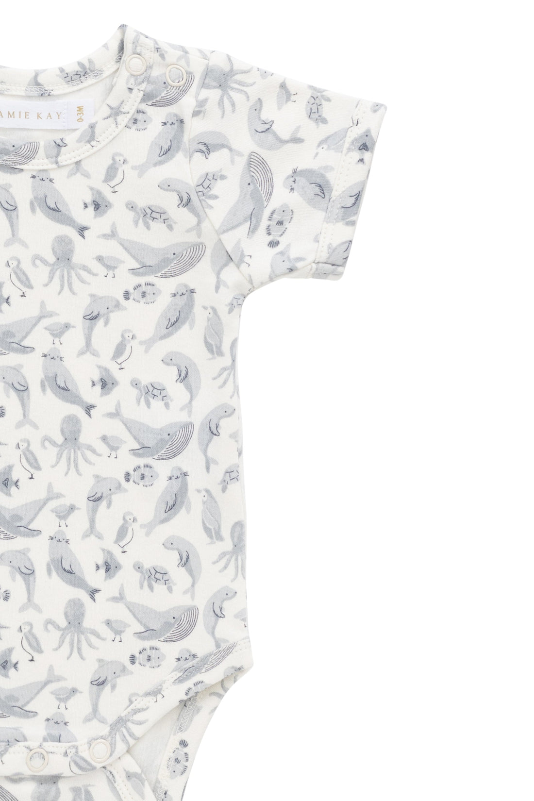 Organic Cotton Hudson Short Sleeve Bodysuit - Sea Life Childrens Bodysuit from Jamie Kay Australia