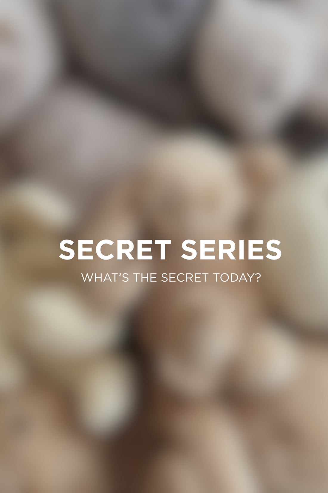 Snuggle Bunnies - Secret Series 30cm Surprise Childrens Toy from Jamie Kay Australia