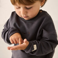 Organic Cotton Damien Sweatshirt - Arctic Childrens Sweatshirt from Jamie Kay Australia