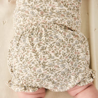 Organic Cotton Frill Bloomer - Ariella Eggnog Childrens Bloomer from Jamie Kay Australia