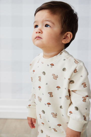 Organic Cotton Jalen Oversized Jumper - Woodland Friends Childrens Top from Jamie Kay Australia