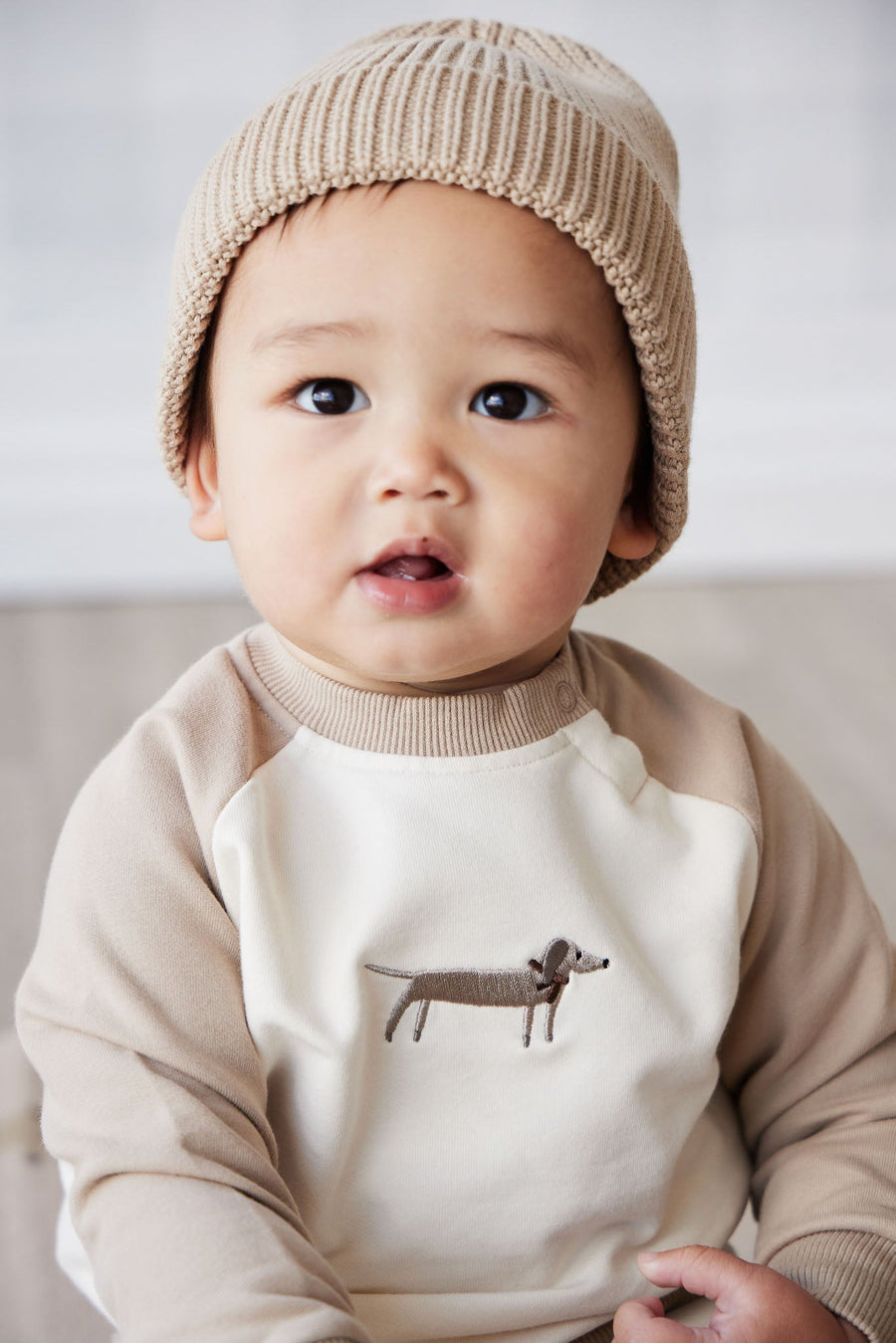 Organic Cotton Tao Sweatshirt - Cosy Basil Fawn Childrens Top from Jamie Kay Australia