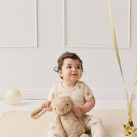 Organic Cotton Hudson Short Sleeve Bodysuit - Little Ted Childrens Bodysuit from Jamie Kay Australia