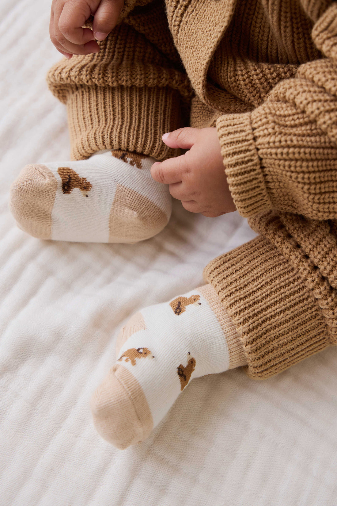Honey Bear Socks - Honey Bear Childrens Socks from Jamie Kay Australia