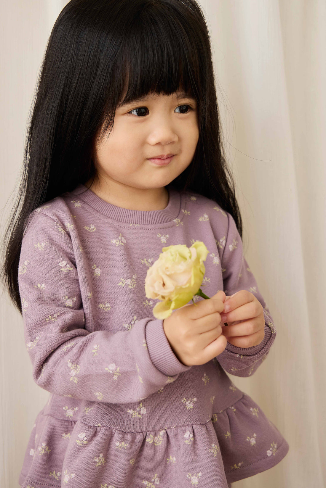 Organic Cotton Emiko Sweatshirt - Isla Plum Childrens Sweatshirting from Jamie Kay Australia