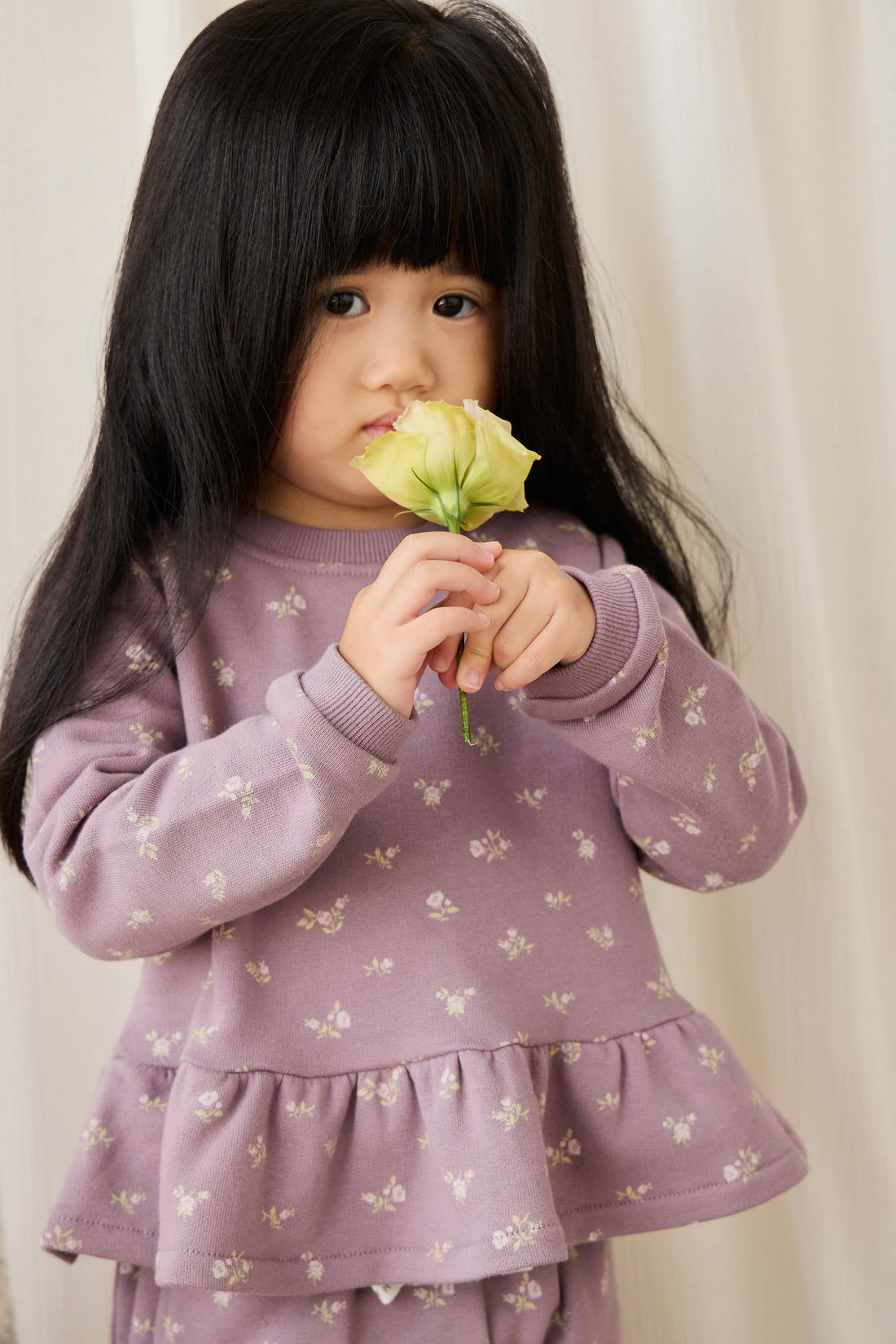 Organic Cotton Emiko Sweatshirt - Isla Plum Childrens Sweatshirting from Jamie Kay Australia