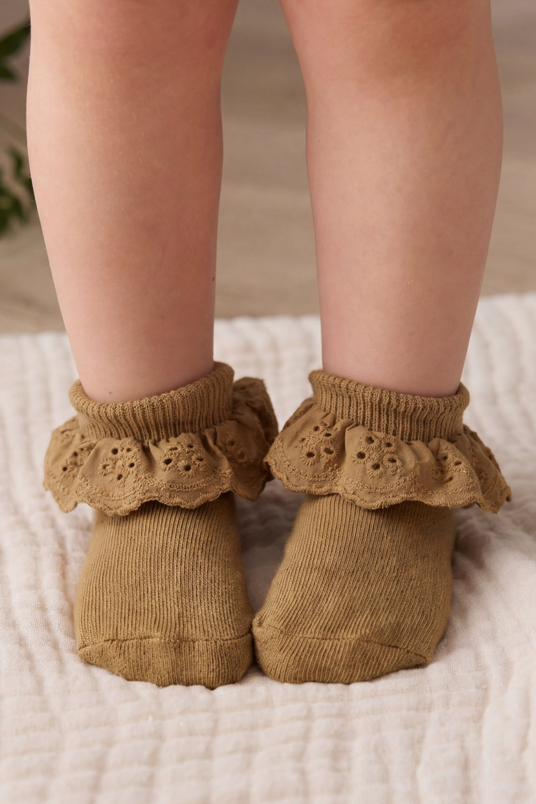 Frill Ankle Sock - Antique Bronze Childrens Socks from Jamie Kay Australia