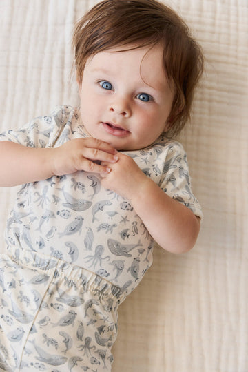 Organic Cotton Hudson Short Sleeve Bodysuit - Sea Life Childrens Bodysuit from Jamie Kay Australia