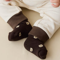 Bobbie Bear Sock - Jacquard Brownie Childrens Sock from Jamie Kay Australia