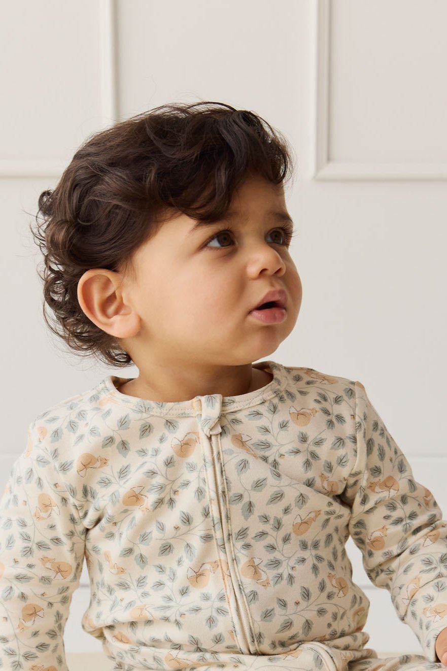 Organic Cotton Reese Zip Onepiece - Freddie Fox Childrens Pyjama from Jamie Kay Australia