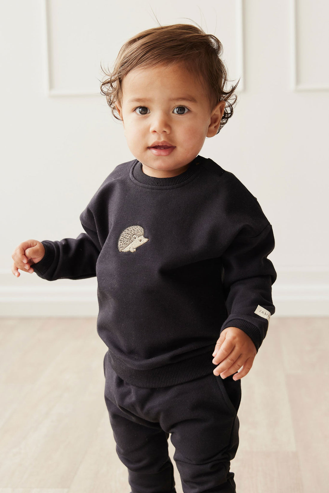 Organic Cotton Damien Sweatshirt - Constellation Hedgehog Childrens Top from Jamie Kay Australia