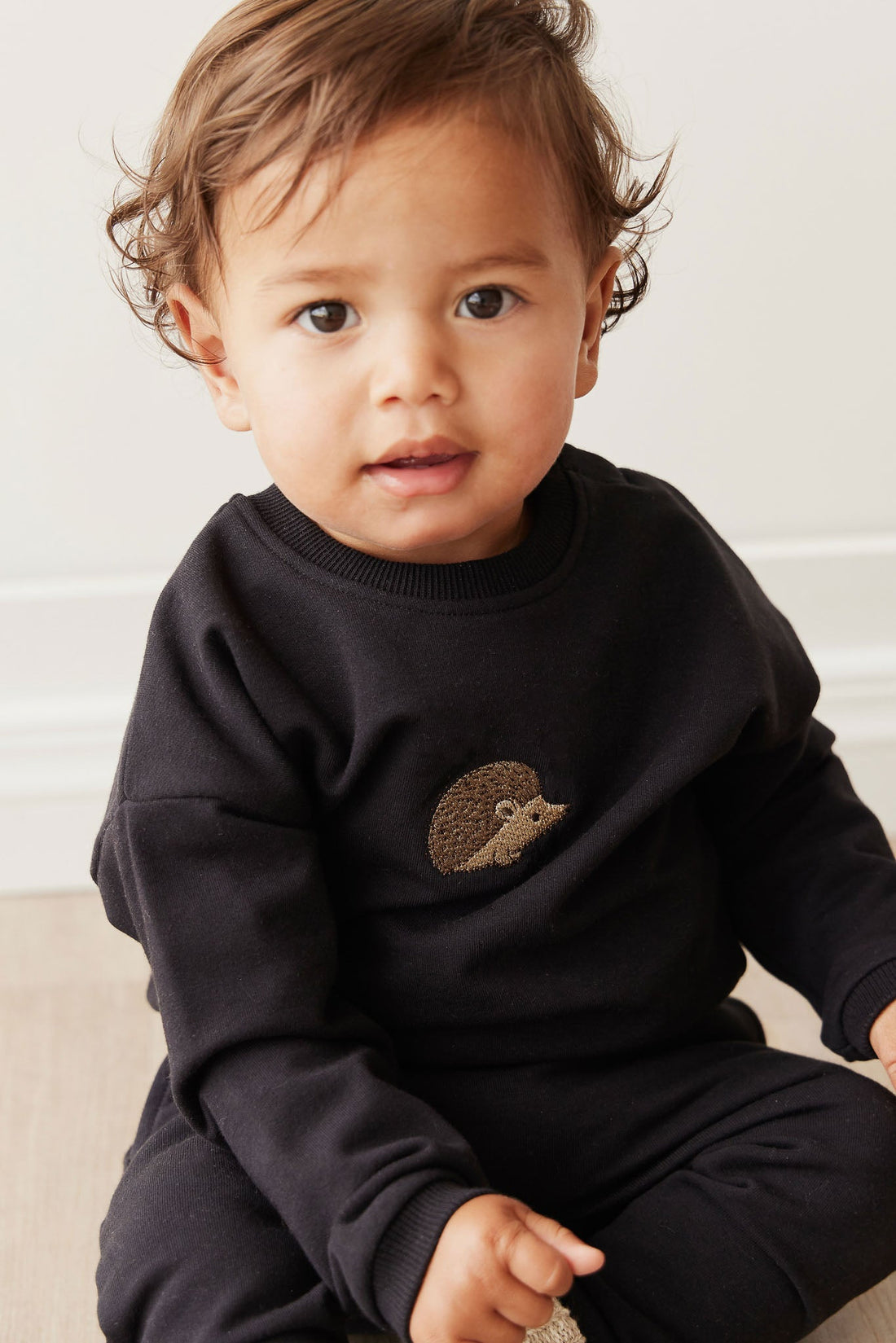 Organic Cotton Damien Sweatshirt - Constellation Hedgehog Childrens Top from Jamie Kay Australia