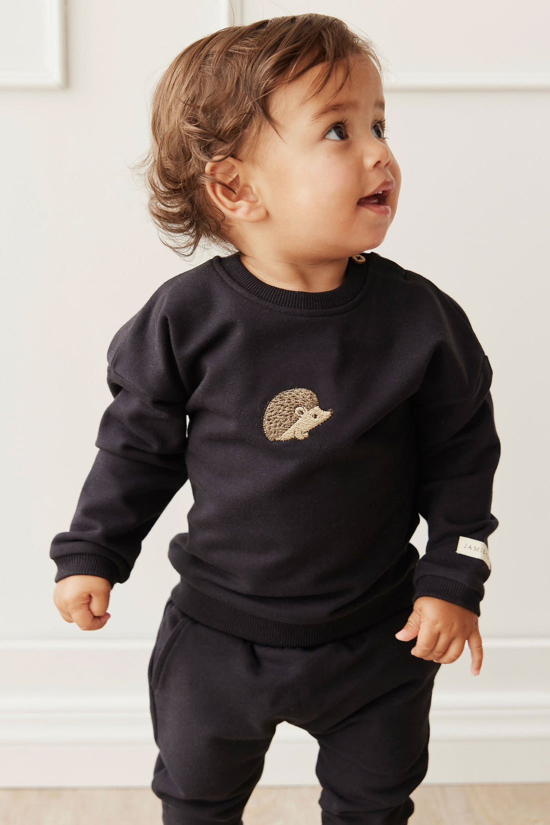 Organic Cotton Damien Sweatshirt - Constellation Hedgehog Childrens Top from Jamie Kay Australia