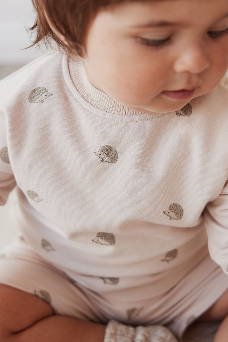 Organic Cotton Kit Sweatshirt - Henry Hedgehog Birch Childrens Top from Jamie Kay Australia