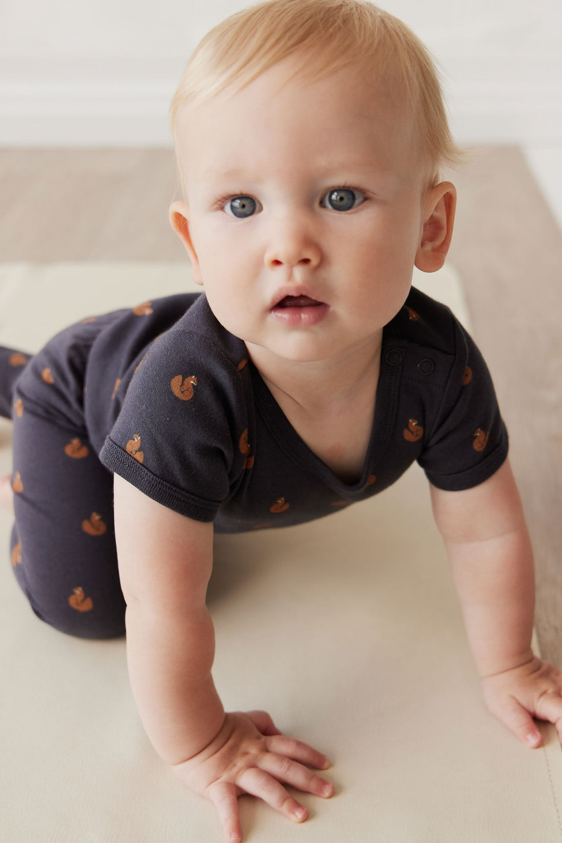 Organic Cotton Hudson Short Sleeve Bodysuit - Fox Cubs Constellation Childrens Bodysuit from Jamie Kay Australia