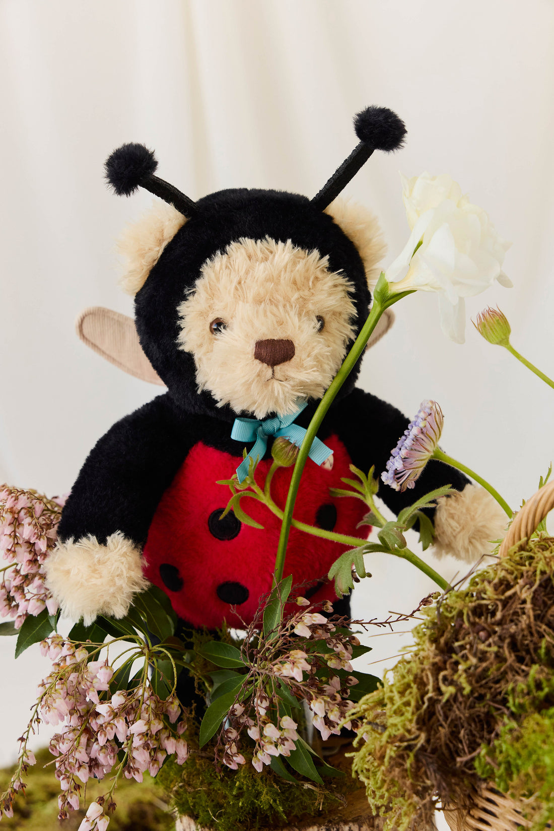Snuggle Bunnies - Arthur the Bear - Lovebug Childrens Toys from Jamie Kay Australia