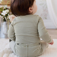 Organic Cotton Modal Long Sleeve Bodysuit - Petite Stripe Avocado Oil / Cloud Childrens Bodysuit from Jamie Kay Australia