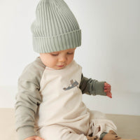 Organic Cotton Tao Sweatshirt Onepiece - Milford Sound Avion Childrens Onepiece from Jamie Kay Australia