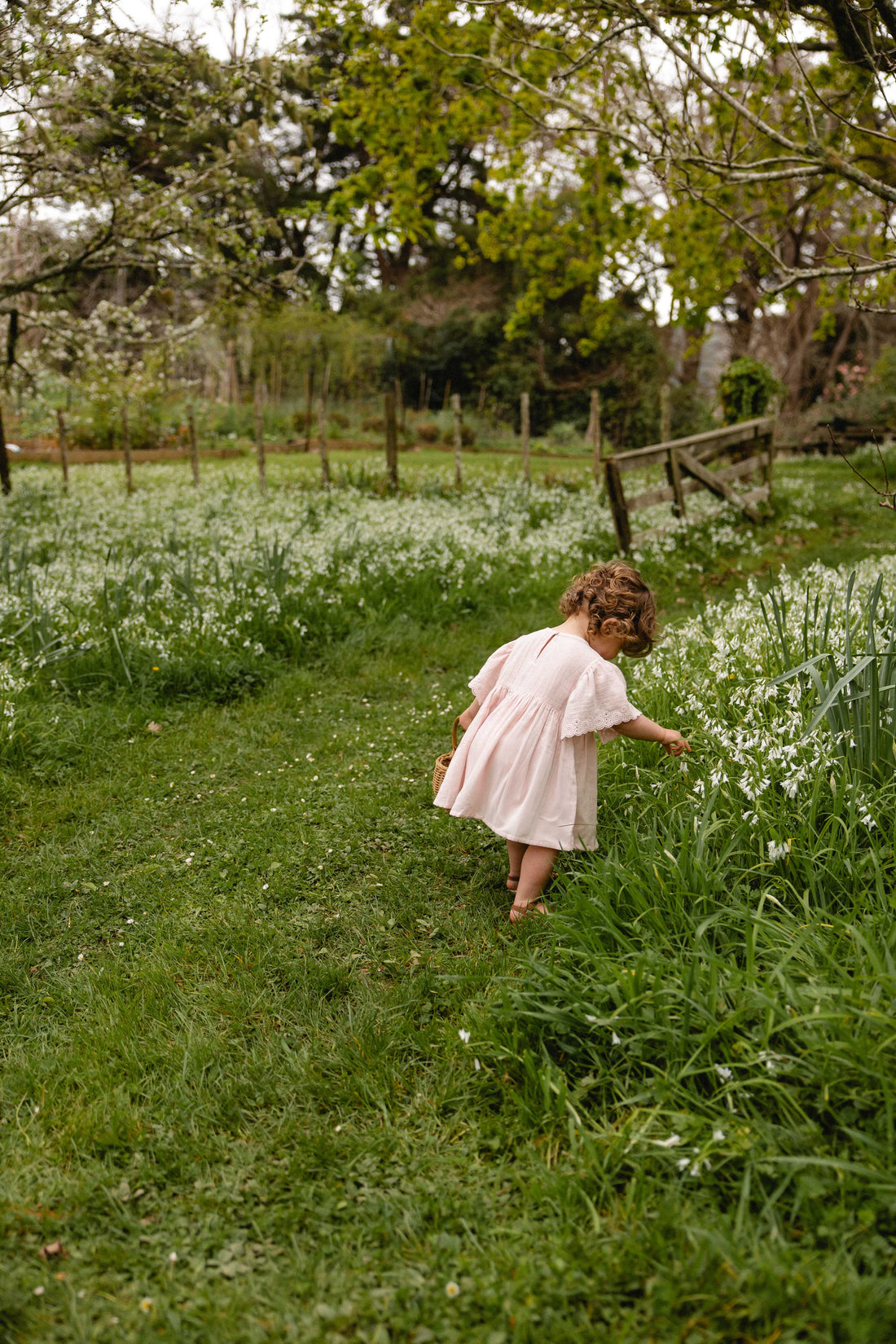Organic Cotton Muslin Chloe Dress - Cotton Candy Childrens Dress from Jamie Kay Australia
