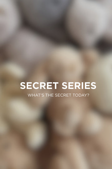 Snuggle Bunnies - Secret Series 30cm Surprise Childrens Toy from Jamie Kay Australia