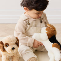 Snuggle Bunnies - Coco The Shih Tzu Childrens Toy from Jamie Kay Australia