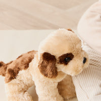 Snuggle Bunnies - Coco The Shih Tzu Childrens Toy from Jamie Kay Australia