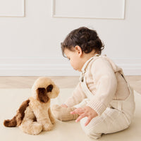 Snuggle Bunnies - Coco The Shih Tzu Childrens Toy from Jamie Kay Australia