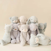 Snuggle Bunnies - Elsie the Kitty - Willow Childrens Toy from Jamie Kay Australia