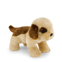 Snuggle Bunnies - Coco The Shih Tzu Childrens Toy from Jamie Kay Australia