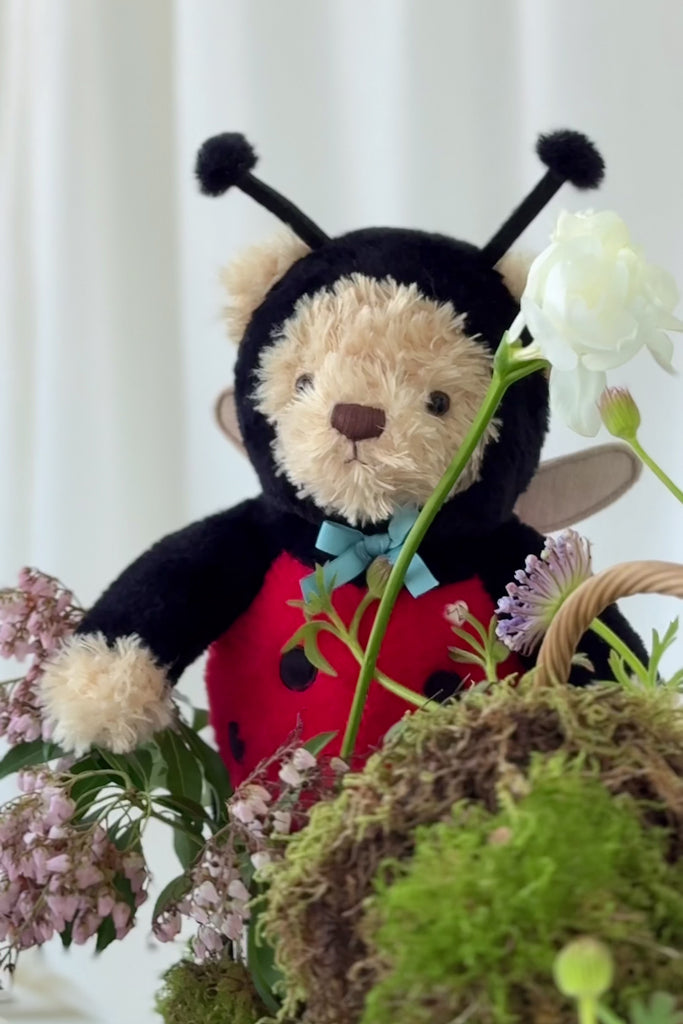 Snuggle Bunnies - Arthur the Bear - Lovebug Childrens Toys from Jamie Kay Australia